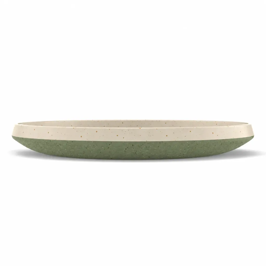 SK-P10 Skandi 10.25" x 1.25" Round Plate